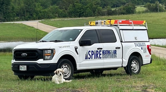 536272563_122194528028054947_7362114732839887788_n Work truck and puppy